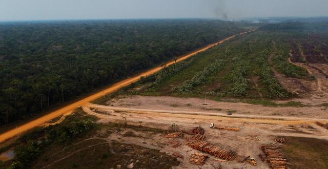Ett parti med skövlad regnskog i Amazonas. Edmar Barros / AP