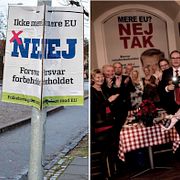 Nej-kampanjer inför omröstningen. Dansk Folkeparti firar att det blev ett nej, med tidigare partiledaren Pia Kjaersgaard.