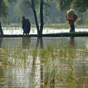 Bild från Pakistan i september. 