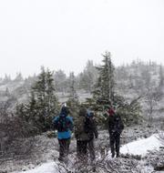 Illustrationsbild, snö i Sälenfjällen i november förra året.