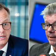 Näringsminister Mikael Damberg (S) och M:s utrikespolitiska talesperson Hans Wallmark.