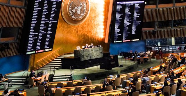 Omröstningen i FN:s generalförsamling Bebeto Matthews / AP