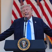 Trump.