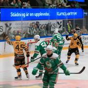 Skellefteå jublar efter 3–1-målet. 