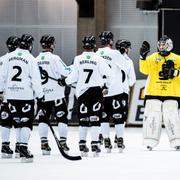 Sandviken firar segern i den första semifinalen mot Villa Lidköping.