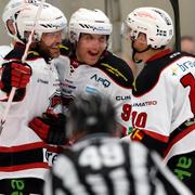 Malmö Redhawks jublar efter mål på lördagseftermiddagen.