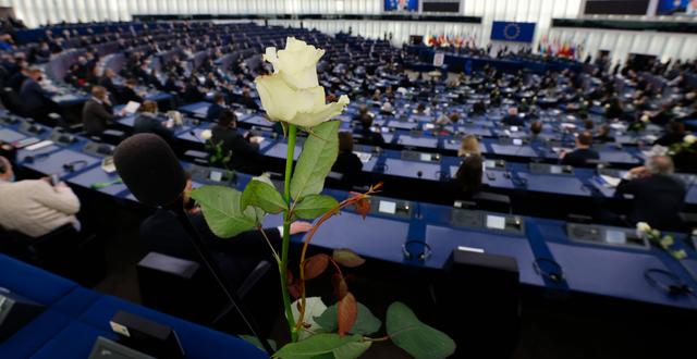 EU-parlamentet i Strasbourg. Jean-Francois Badias / AP
