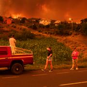 Öbor följer brandutvecklingen på Teneriffa.