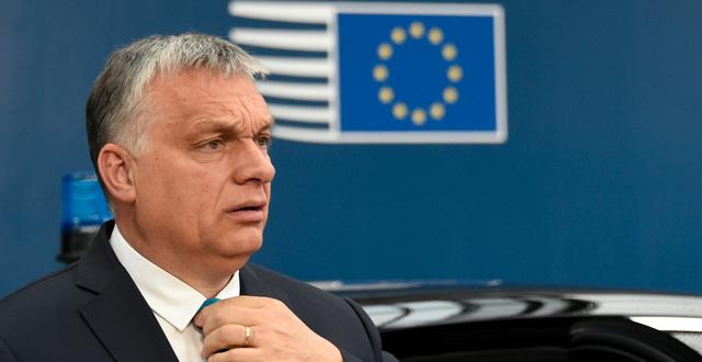 Viktor Orbán JOHN THYS / AFP