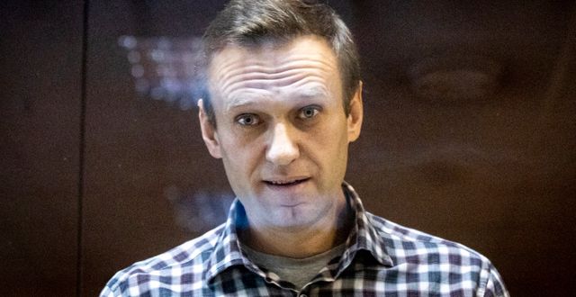 Aleksej Navalnyj under rättegången. Alexander Zemlianichenko / TT NYHETSBYRÅN