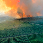 Skogsbränder i Frankrike, bild från 17 juli. 