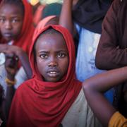 Människor på flykt från striderna i Sudan. 