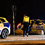 Polis grep männen i Tyresö i våras. 