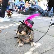 Taxen Lisa, som gick i Stockholms taxparad för två år sedan.