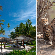 Breezes Beach Club & Spa på Zanzibar passar utmärkt att kombinera med safari i Östafrika. 